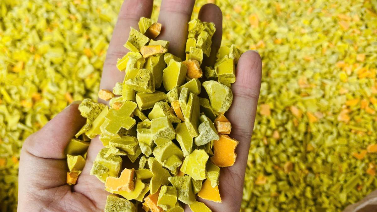 Hạt nhựa tái sinh là gì? Ứng dụng và tiềm năng phát triển tại Việt Nam