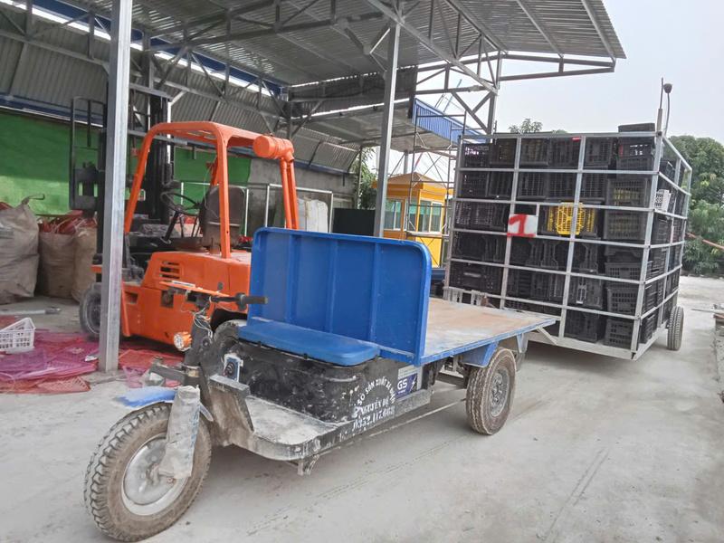 Công nghệ tái chế nhựa tiên tiến giúp giảm rác thải và bảo vệ môi trường